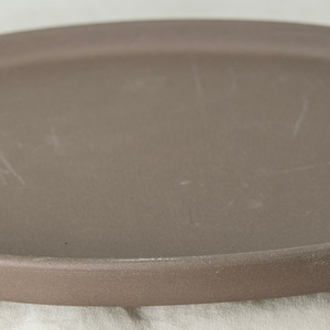 May include: A light brown oval ceramic bonsai pot with two drainage holes.
