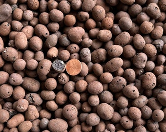 May include: A close-up image of a large quantity of brown, round, porous clay pebbles. A US penny is placed in the center of the image for scale.