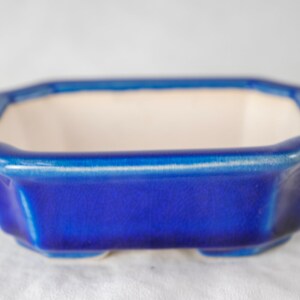 May include: A blue ceramic bonsai pot with a white interior. The pot has an octagonal shape and a smooth, glossy finish.
