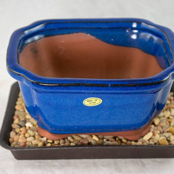 Free Shipping 6" Rectangular Dark Blue Shohin Bonsai/Succulent Pot + Tray + Rock + Mesh Combo