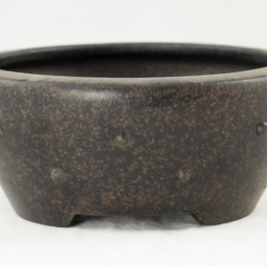 May include: A dark brown ceramic bonsai pot with a textured surface and small raised dots around the rim and sides. The pot has a rounded shape and four small feet.