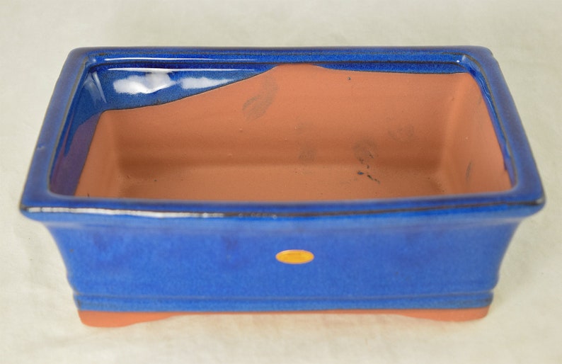 May include: A blue glazed rectangular ceramic bonsai pot with a terracotta interior. The pot has a rounded lip and a slightly flared base.