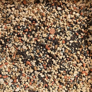 May include: Close-up of a soil mix with various components. The mix includes small, light-colored pebbles, dark organic matter, and a few reddish-brown and blue-green particles. A penny is visible, providing scale.