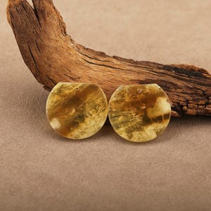 May include: Two round, flat, natural stone pendants with a hole at the top for stringing. The pendants have a mottled pattern of tan, brown, and green. A piece of weathered wood is in the background.
