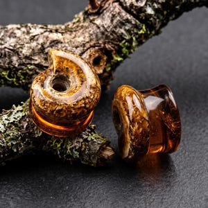 May include: A pair of amber-coloured ear plugs with a spiral shell-like shape. The translucent material features internal brown and gold fibrous patterns, creating a textured appearance within the smooth, polished surface of the jewellery pieces.