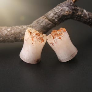 May include: Two light-colored, flared ear plugs with a rough, crystal-like texture at the top. The plugs have a smooth, polished appearance on the sides and a slight reddish-brown hue. The background is dark, with a blurred wooden branch.