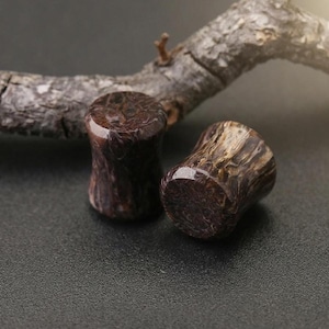 May include: Two brown and tan stone ear plugs with a polished finish. The plugs have a flared design and are set against a dark background with a wooden branch.
