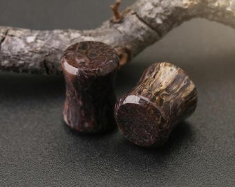 Natural Dinosaur Bone Fossil Plugs,Double Flat Agatized Dino Bone Gauges,Unique Stone Ear Stretchers,Organic Body Jewelry Pair