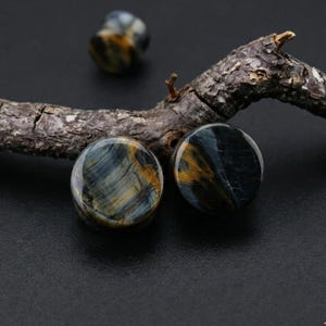 May include: Close-up of three blue tiger eye stone plugs. The plugs are round with a polished finish, displaying a mix of blue, gold, and brown colors. A textured, dark brown branch is in the background, with a black surface.