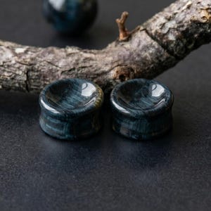 Könnte beinhalten: Ein Paar kreisförmige Ohrplugs aus poliertem Falkenauge-Stein mit einer konkaven Mitte und einer glatten, glänzenden Oberfläche, die deutliche dunkelblaue und graue schimmernde Bänder aufweist, die horizontal über die zylindrische Fläche verlaufen.