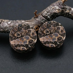 May include: Two round, dark-colored plugs with a unique pattern of brown, gray, and black. The plugs have a textured appearance and are set against a dark background with a piece of wood.