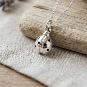 Puede incluir: Un collar de plata con un colgante de mariquita en tres dimensiones. El colgante es de plata pulida con pequeños puntos circulares negros incrustados en su parte posterior redondeada. Cuelga de una delicada cadena de plata con una anilla.