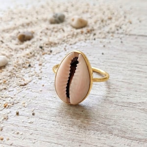 May include: A gold ring with a cowrie shell centrepiece. The shell is pale pink with a dark brown interior. The ring is set against a backdrop of sand and small pebbles, evoking a beach theme.