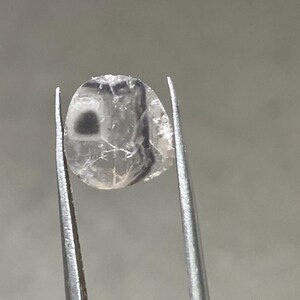 May include: A clear, oval-shaped gemstone with a dark, circular inclusion and gray veining, held by silver tweezers. The stone has a slightly rough, textured surface and is set against a neutral background.