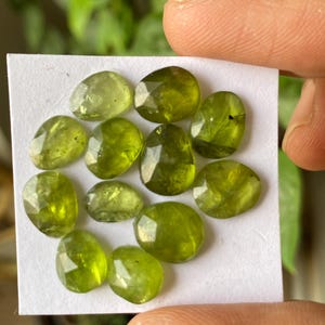 Op de afbeelding: Een verzameling van elf gefacetteerde, olijfgroene peridoot edelstenen gerangschikt op een kleine witte vierkante kaart. Elke steen heeft een gepolijst, veelzijdig oppervlak dat licht reflecteert en verschillende tinten limoen- en bosgroen laat zien.