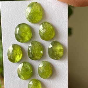 Puede incluir: Ocho piedras preciosas de peridoto facetadas de forma ovalada en un vibrante color verde lima. Las piedras están dispuestas en un grupo sobre una tarjeta rectangular blanca, mostrando una superficie pulida con múltiples facetas geométricas.