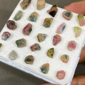 May include: A collection of 24 small, colourful, raw tourmaline crystals in a white foam-lined box. The crystals are various shades of pink, green, blue, and black.