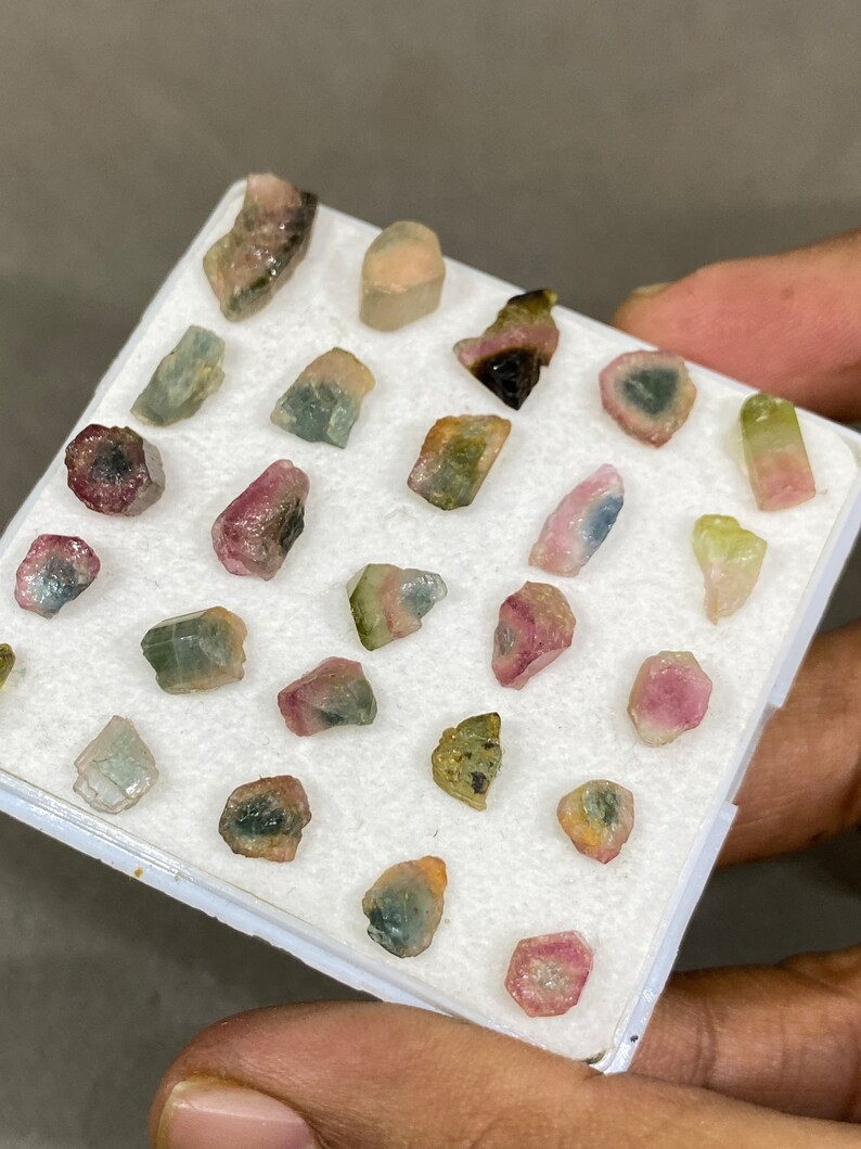 May include: A collection of 25 small, raw, multi-coloured tourmaline crystals in a white foam-lined display box. The crystals are various shades of pink, green, and black.