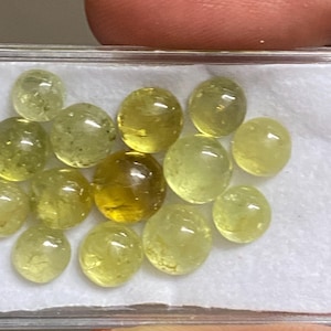 Peut inclure: Un ensemble de treize pierres précieuses rondes taillées en cabochon, aux nuances variées de jaune translucide et de vert citron pâle. Ces pierres lisses et polies sont disposées dans un boîtier de présentation en plastique transparent.