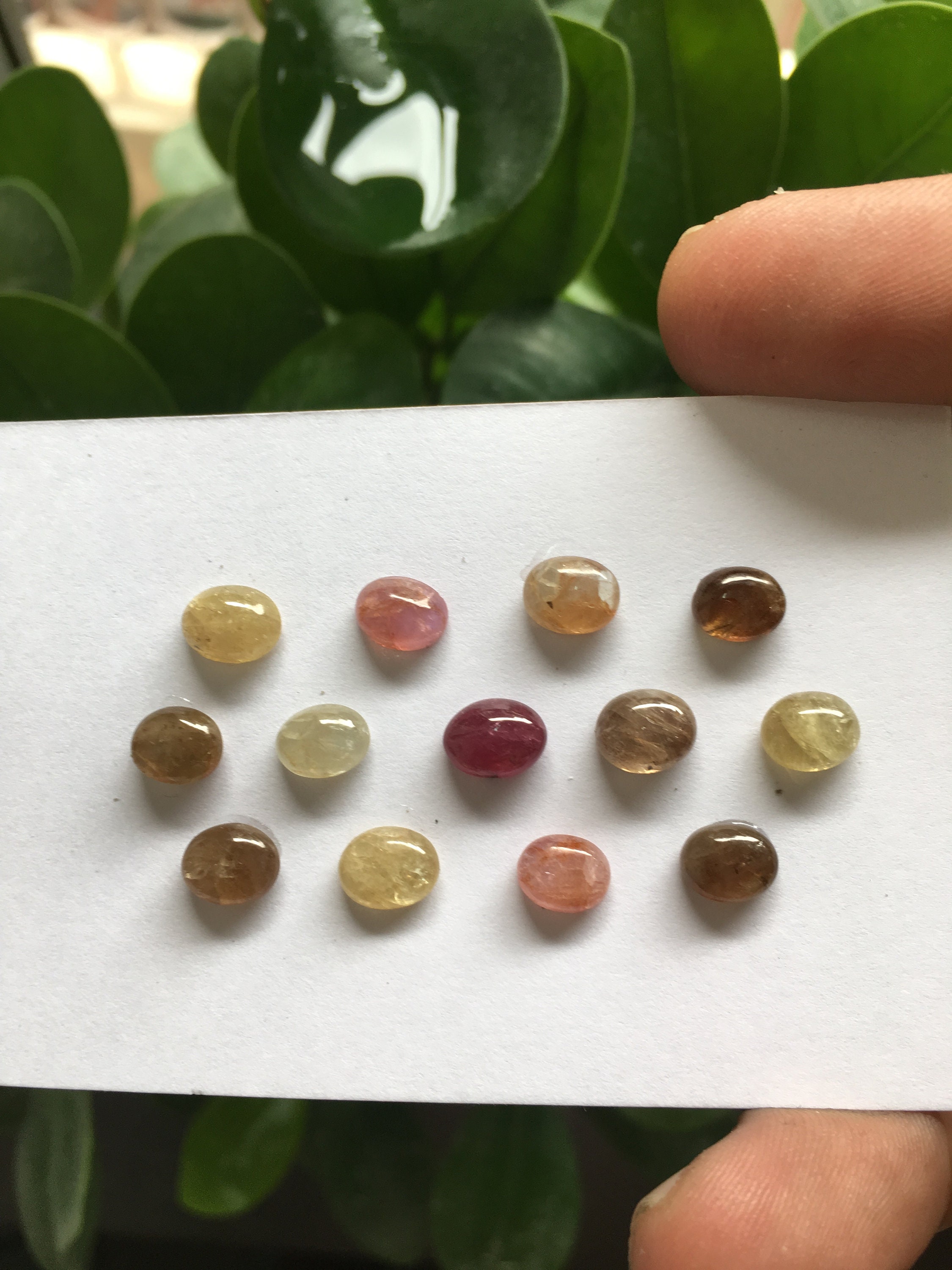 Rare natural umba sapphire oval cabochons weight 23.15 carats size 6.9x5mm to 8x6mm pcs 13 Rare natural umba sapphire oval cabochons weight 23.15 carats size 6.9x5mm to 8x6mm pcs 13