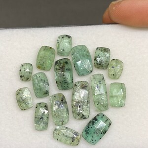 Stunning rare moss green kyanite pear rosecut flats fine quality weight 53 carats size 10.1x5.7mm-18.3x7.4mm pcs 17 moss green rosecut Stunning rare moss green kyanite pear rosecut flats fine quality weight 53 carats size 10.1x5.7mm-18.3x7.4mm pcs 17 moss green rosecut