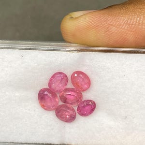 May include: A collection of six oval-cut, pink gemstones displayed on a white surface. The gems vary slightly in shade, ranging from light to deep pink, and are presented in a clear container. The image is taken from a close-up perspective.