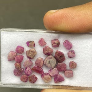 May include: A collection of small, rough-cut ruby gemstones in a clear plastic container. The gemstones are various shades of pink and red, with some showing internal patterns. The container sits on a white surface.