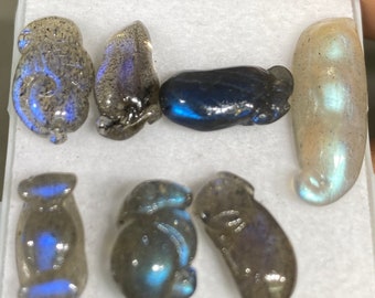 Blue fire labradorite mix carving mouse brinjal tamarind blue fire smooth polished pcs 7 wt 34 cts size 19x12-23x8mm labradorite carving