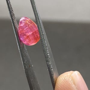 Peut inclure: Une pierre précieuse ovale, facettée, de couleur rose et rouge, est maintenue par une pince. La gemme a une surface texturée et semble translucide. L'arrière-plan est gris neutre. Il peut s'agir d'un rubis.
