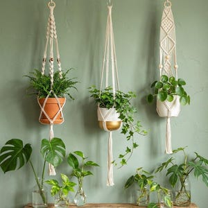 Può includere: Tre portavasi in macramè color crema con piante in vaso contro un muro verde. I portavasi hanno perline di legno e nappe. I vasi sono in terracotta, bianchi e bianchi con oro. Varie piante verdi sono in vasi di vetro su una superficie di legno.