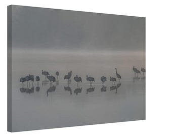 Reflexo da névoa em bando de garças, arte de parede minimalista