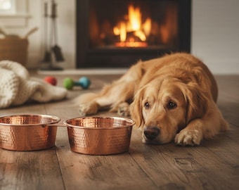 Zestaw misek dla psów z kutej miedzi — karma i woda | Antybakteryjny zestaw misek dla zwierząt Duo