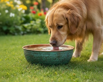 Bebedero para perros de cobre puro hecho a mano — Pátina turquesa natural / Comedero antimicrobiano para mascotas