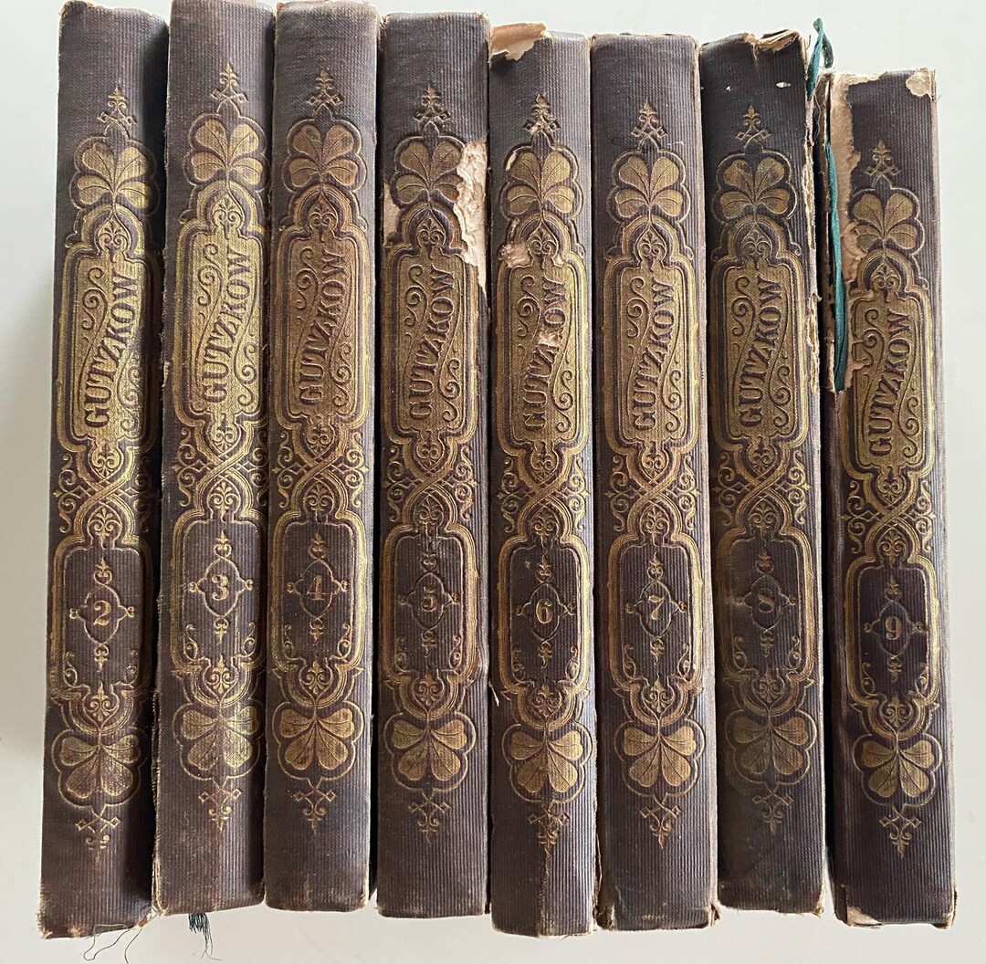 Antique German Books – Die Ritter Vom Geiste Set, 1854 Volumes 2-9 - Etsy