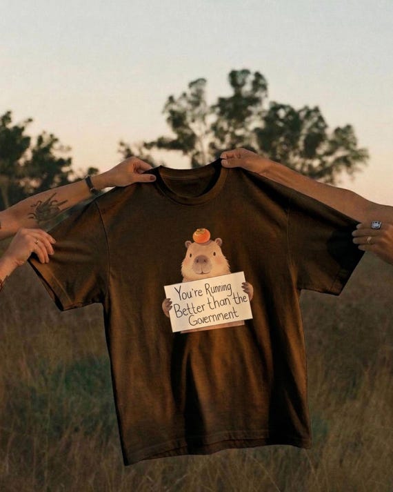 Funny capybara meme running shirt, quote graphic tee, marathon runner gift, animal workout t-shirt