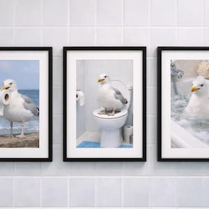 Puede incluir: Tres impresiones enmarcadas que representan una gaviota en situaciones humorísticas. Una impresión muestra una gaviota sosteniendo papel higiénico junto al mar. Otra muestra una gaviota en un inodoro. La tercera muestra una gaviota en una bañera.