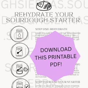 May include: A printable PDF guide with instructions on how to rehydrate sourdough starter. The guide includes step-by-step instructions with illustrations of jars and text that reads "Download this printable PDF!"