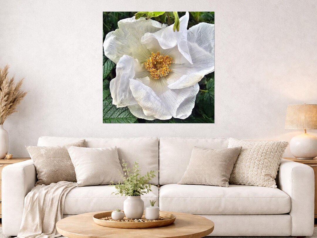 White Wild Rose Canvas Wall Art, Botanical Photography Print, Floral ...