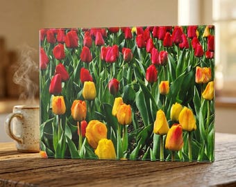 Tabla de cortar de vidrio con diseño floral de campo de tulipanes, decoración de cocina con flores de tulipanes rojos y amarillos, tabla de cortar botánica, regalo para mamá.