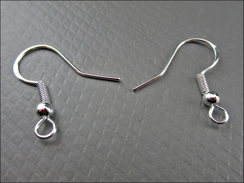 May include: A pair of silver earring hooks with a spring closure and a small loop at the bottom.