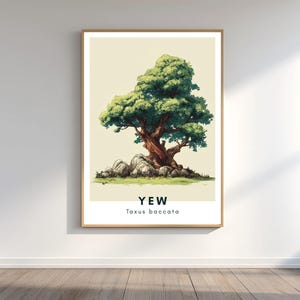 May include: A framed print depicting a Yew tree illustration. The artwork shows a tree with a full, green crown and a brown trunk, set against a light background. The text "YEW Taxus baccata" is displayed below.