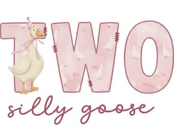 Silly Goose TWO Birthday Shirt Design, Cute Pink Goose Party Graphic, Toddler 2nd Birthday PNG, Printable Sublimation File PNG