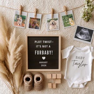 May include: A pregnancy announcement with photos of pets, a letter board with the text "PLOT TWIST - IT'S NOT A FURBABY!", baby shoes, blocks, and a onesie that says "Baby Taylor".