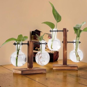 AquaBloom Glass Terrarium Vase – Hydroponic Plant Desktop Decor