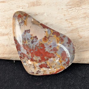 Koprolit (dinosauriebajs) Cabochon friform