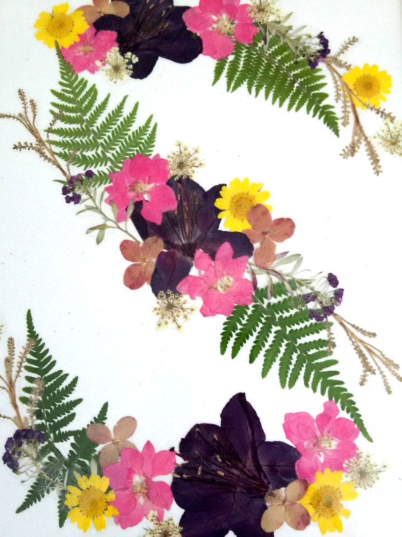 PRESSED FLOWER ART Pressed Flowers S Shaped Alphabet Art | Etsy