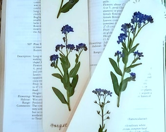 FORGET ME NOT Pressed Flower Bookmarks, Blue Garden Flowers, Farewell, Romantic Valentine, Friendship, Reading Gift