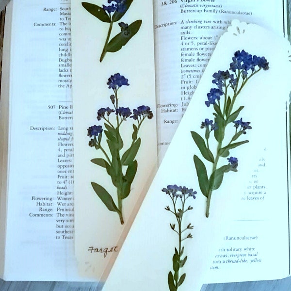 FORGET ME NOT Pressed Flower Bookmarks, Blue Garden Flowers, Farewell, Romantic Valentine, Friendship, Reading Gift