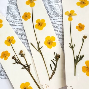 BUTTERCUP FLOWERS BOOKMARK Bright Sunshine Yellow Wild Flowers, Real Flowers, Fun Gift for Friend, Mom, Bookworm, Flower Lover, Wildflowers image 3