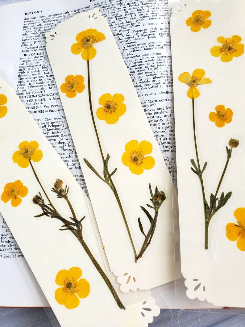 BUTTERCUP FLOWERS BOOKMARK Bright Sunshine Yellow Wild Flowers, Real Flowers, Fun Gift for Friend, Mom, Bookworm, Flower Lover, Wildflowers image 3